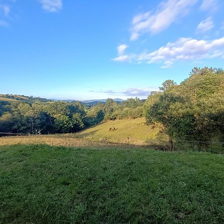 Casa Rural Tulia Grado Eksteriør billede