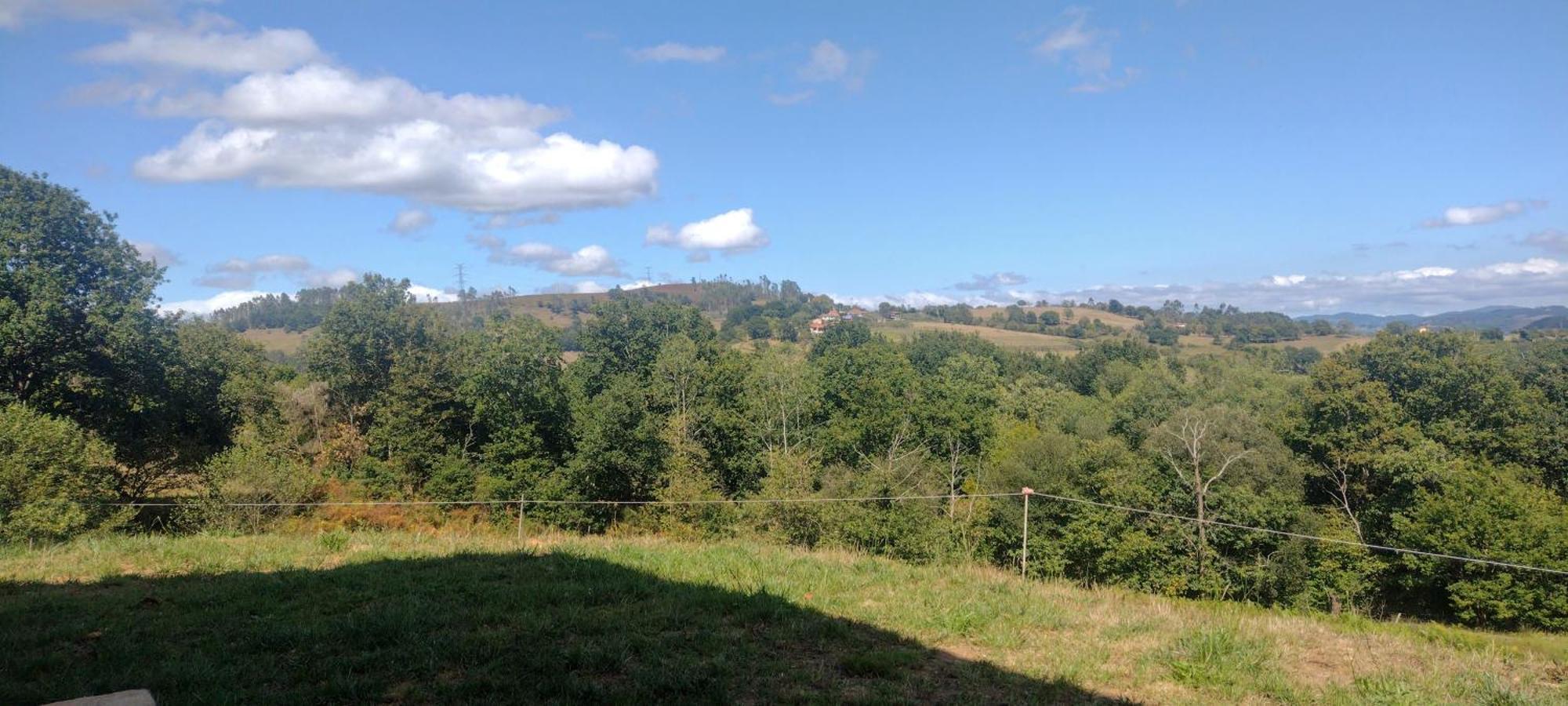 Casa Rural Tulia Grado Eksteriør billede