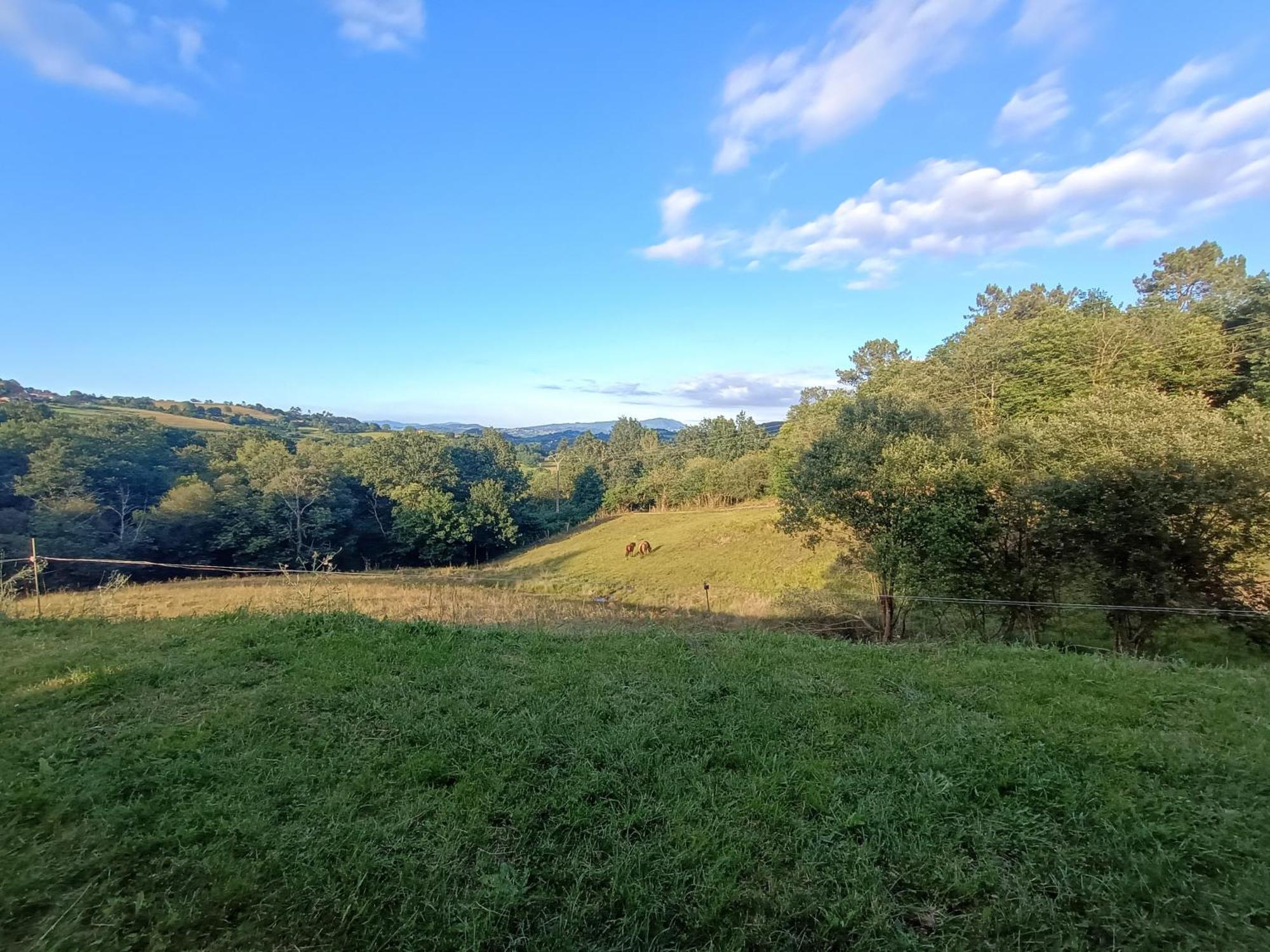 Casa Rural Tulia Grado Eksteriør billede