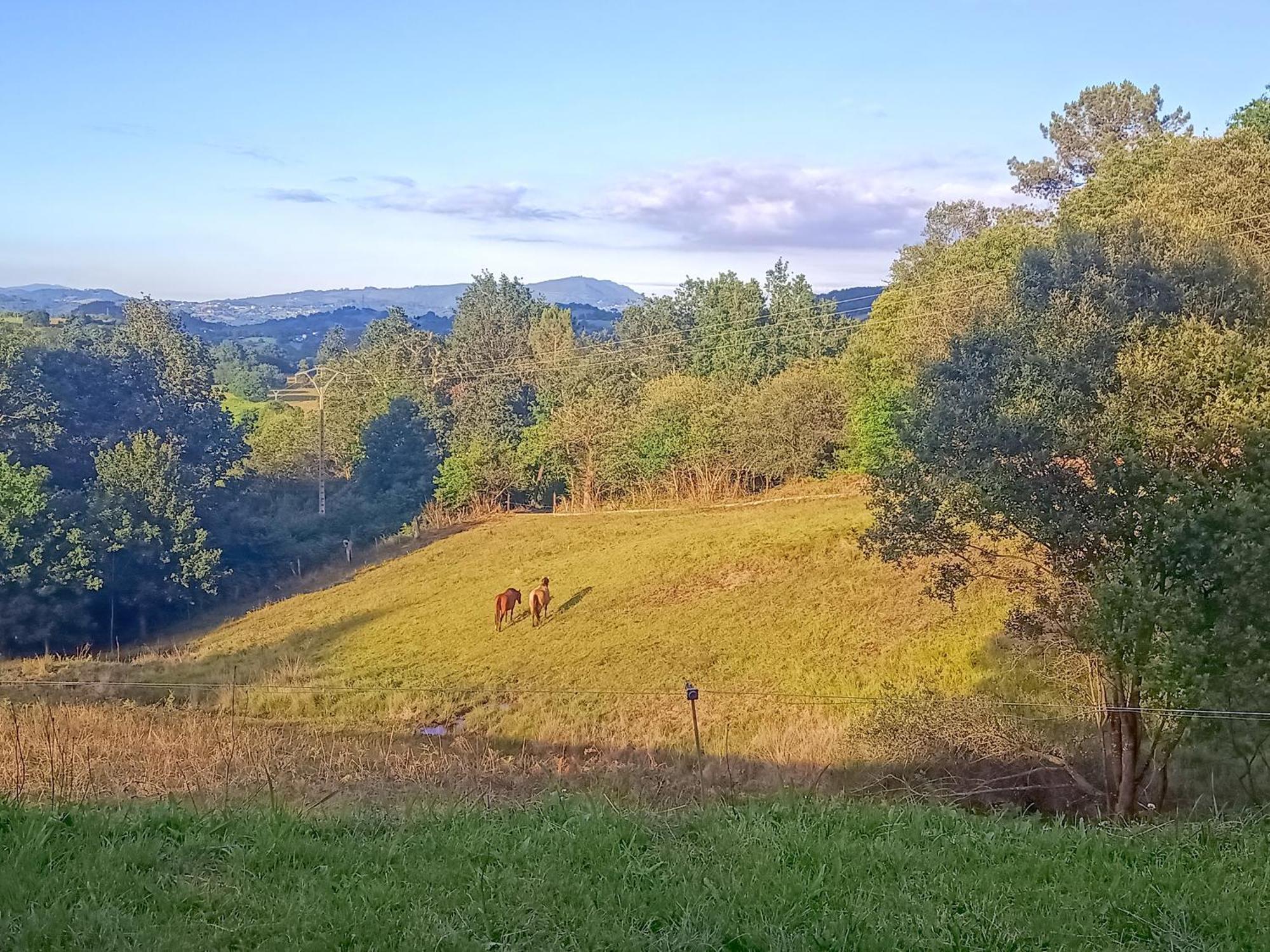 Casa Rural Tulia Grado Eksteriør billede